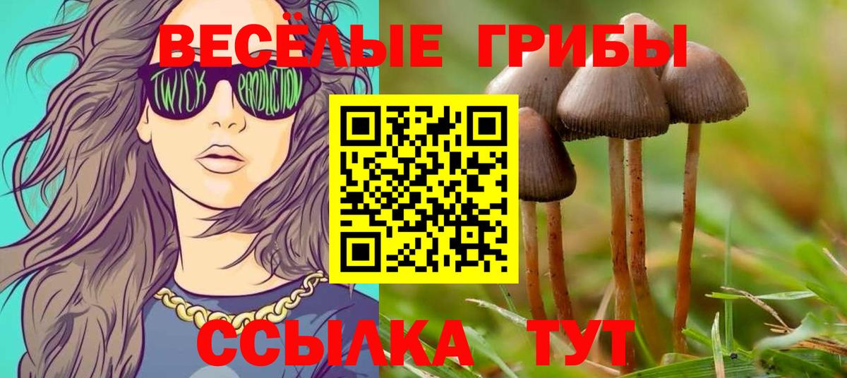 Галлюциногенные грибы GOLDEN TEACHER Новоалтайск