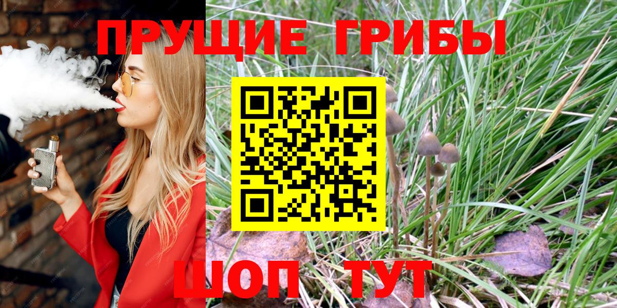 Псилоцибиновые грибы Psilocybe  купить закладку  Галлюциногенные грибы GOLDEN TEACHER  Новоалтайск 