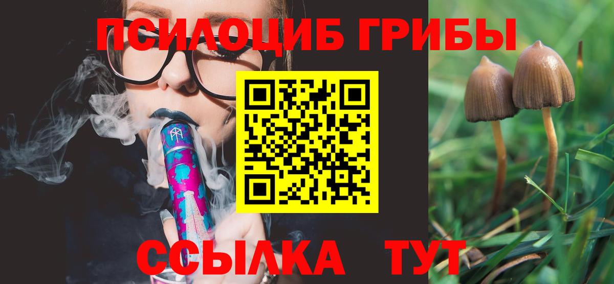 Галлюциногенные грибы Psilocybe  Вход с VPN  Новоалтайск 